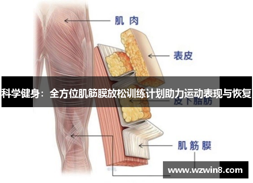 科学健身：全方位肌筋膜放松训练计划助力运动表现与恢复