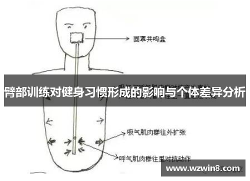 臂部训练对健身习惯形成的影响与个体差异分析
